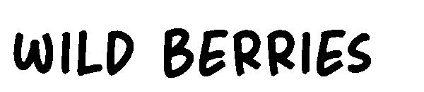 wild berries字体