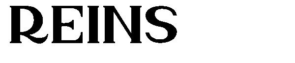 reins字体