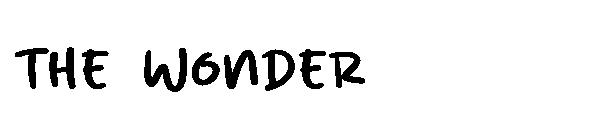 The wonder字体