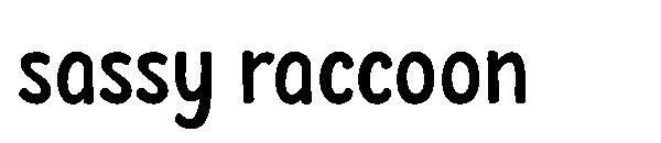 sassy raccoon字体