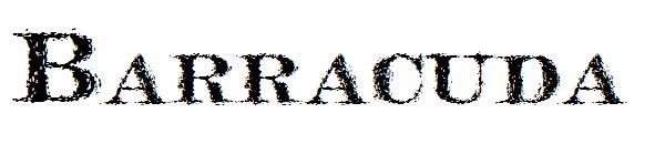 Barracuda字体