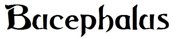 Bucephalus字体