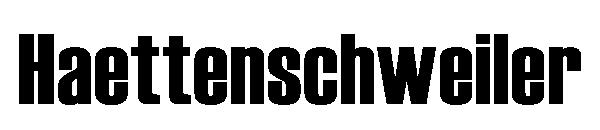 Haettenschweiler字体