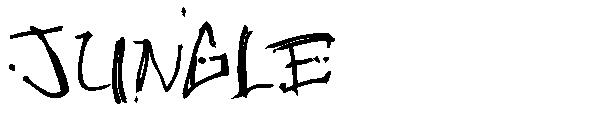 Jungle字体