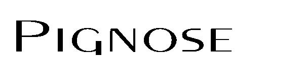 Pignose字体