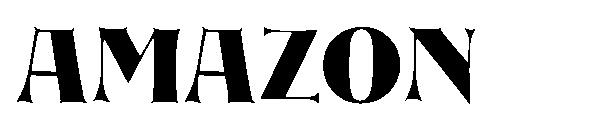 AMAZON字体