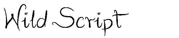 Wild Script字体