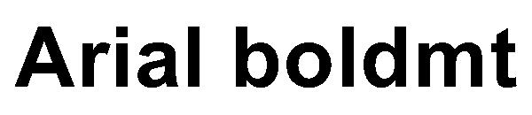 Arial boldmt字体