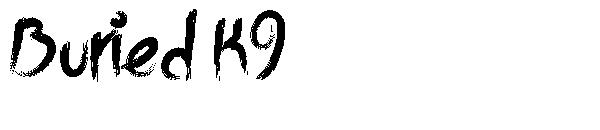 Buried K9字体