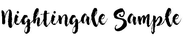 Nightingale Sample字体