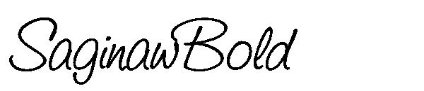 SaginawBold字体