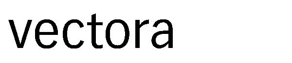 vectora字体