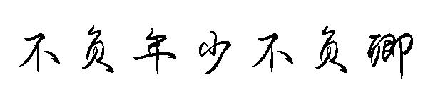 不负年少不负卿字体
