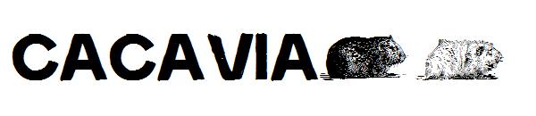Cacavia01字体