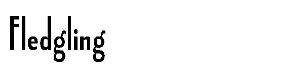 Fledgling字体