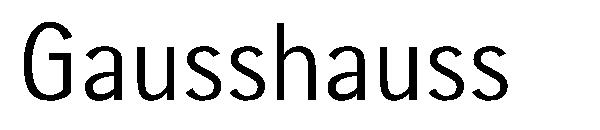 Gausshauss字体
