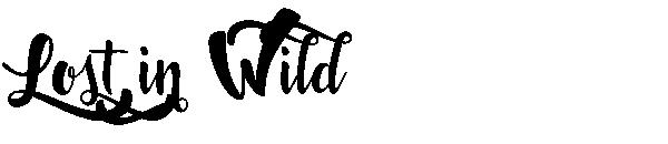 Lost in Wild字体