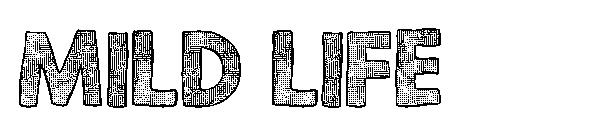 Mild Life字体