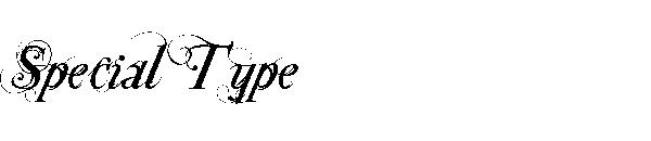 Special Type字体
