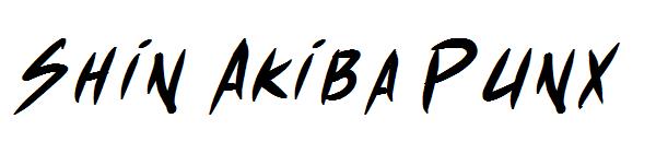 Shin Akiba Punx字体