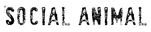 SociaL AnimaL字体