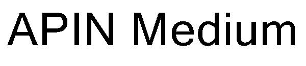 APIN Medium字体