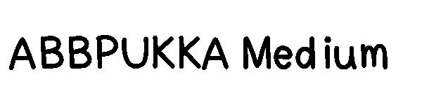 ABBPUKKA Medium字体