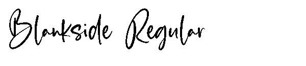 Blankside Regular字体
