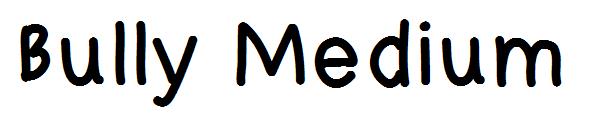 Bully Medium字体
