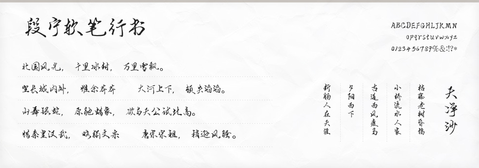 段宁软笔行书字体