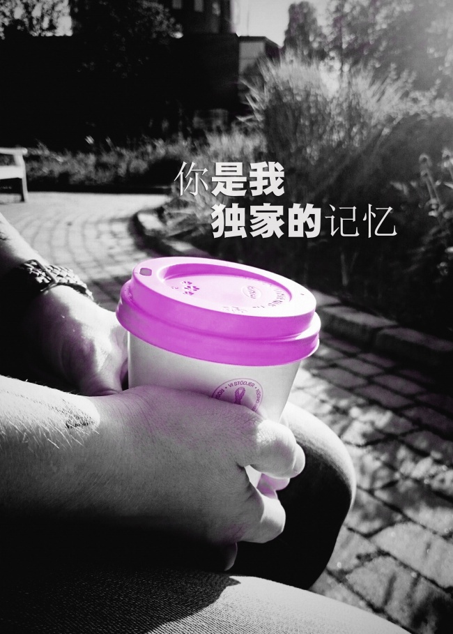卫生间什么样的窗帘好